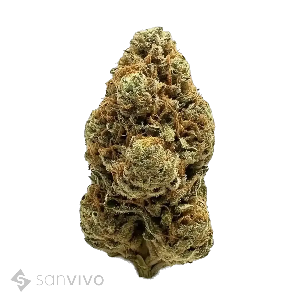 Lava Cake strain