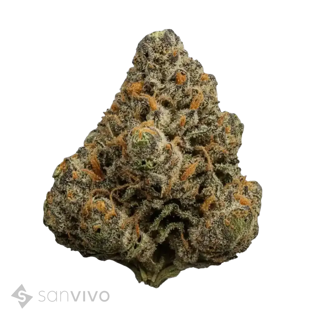 Sweets strain