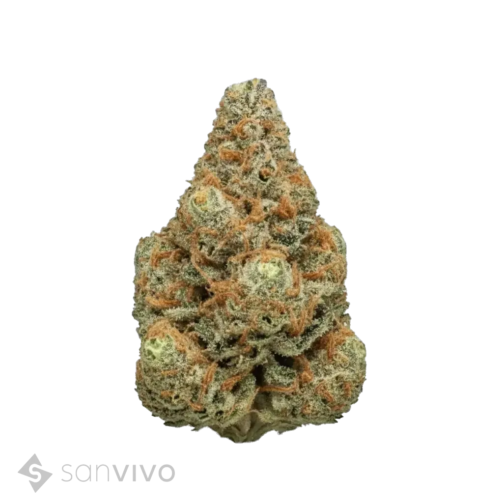 Strawberry Diesel strain