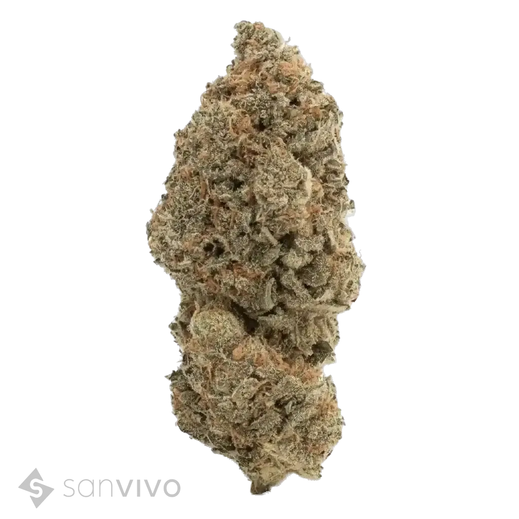 Rainbow Pie strain