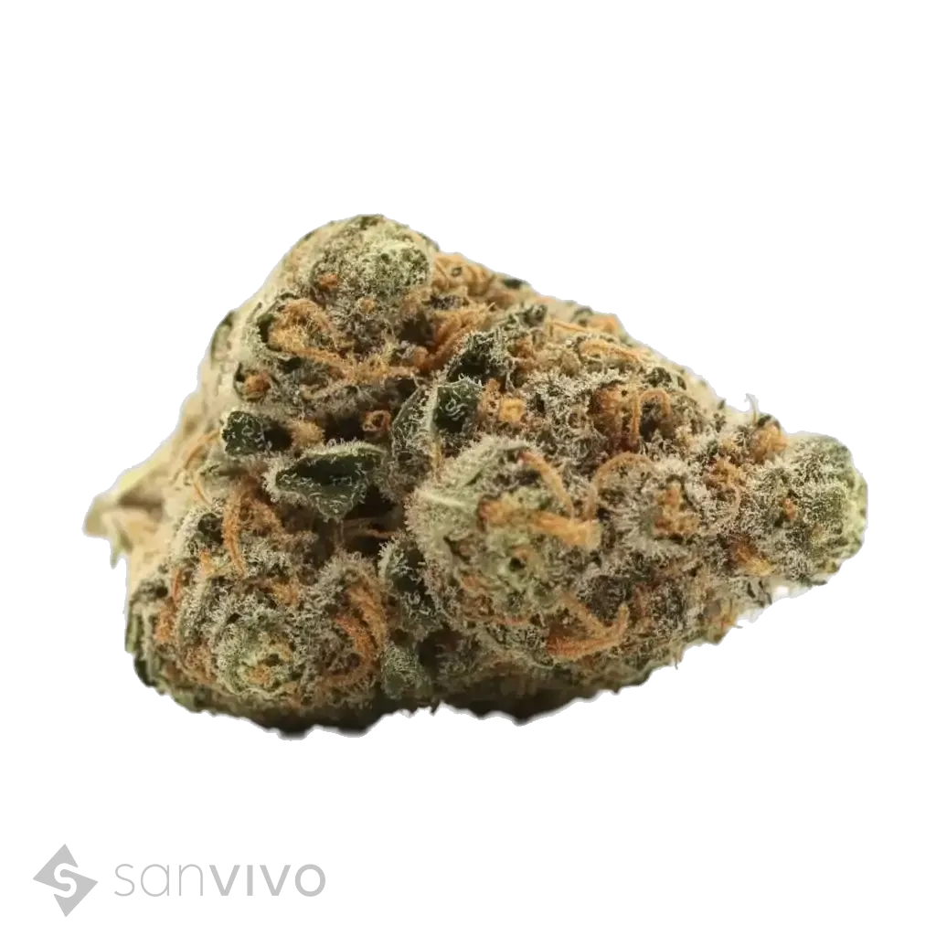 Fiji Sunset strain