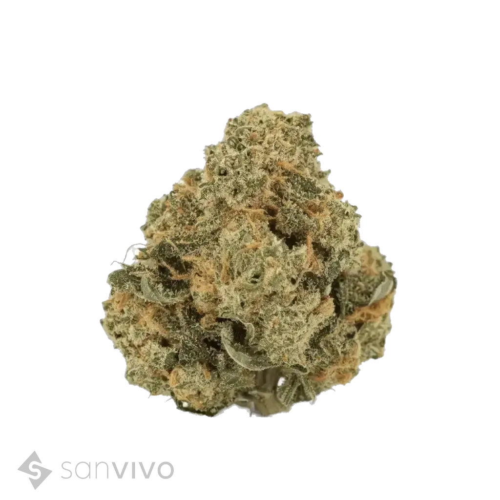 Sky Berry Kush strain