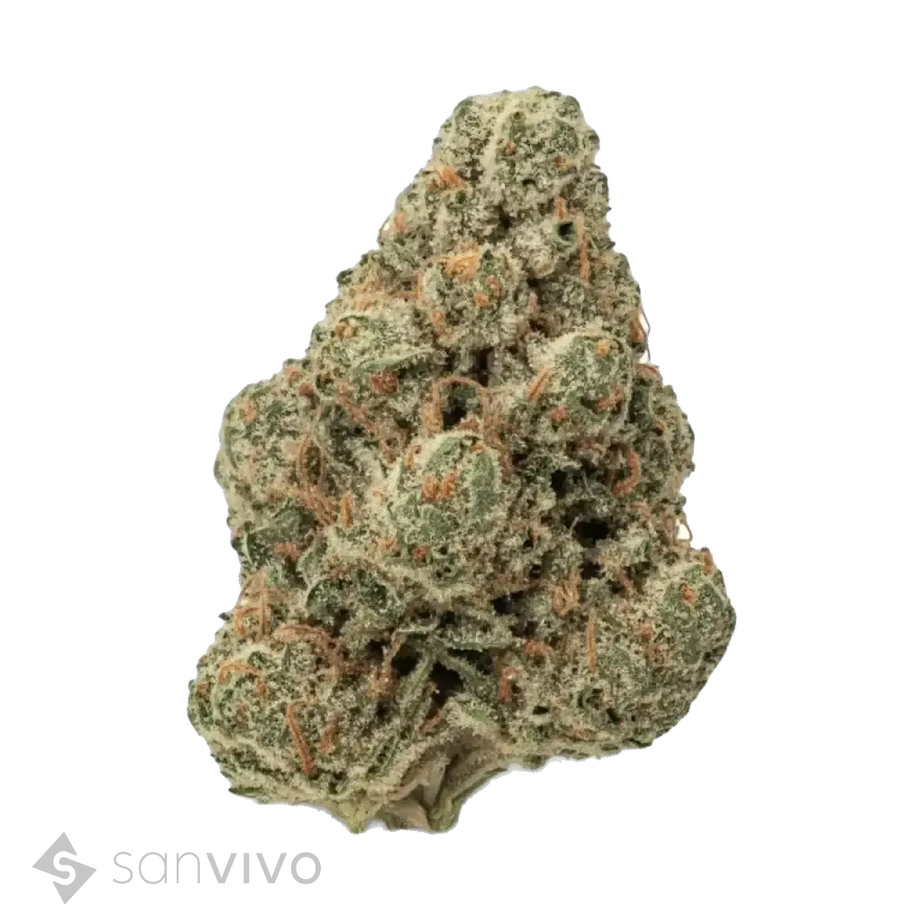 Waffle Cone No 2 strain