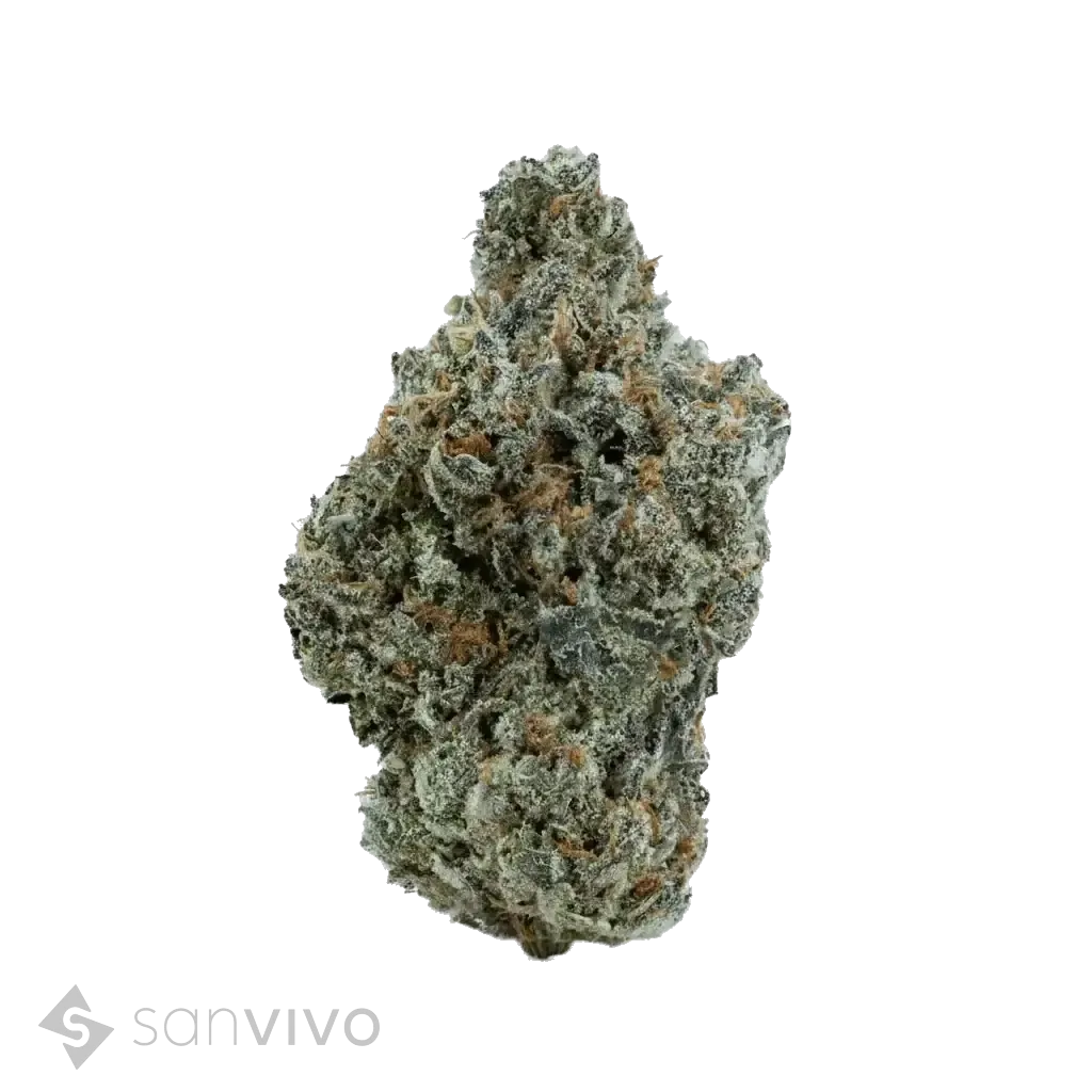 Cookies Cream strain