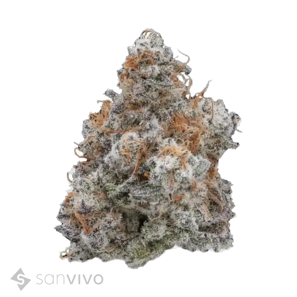Mac Deluxe strain