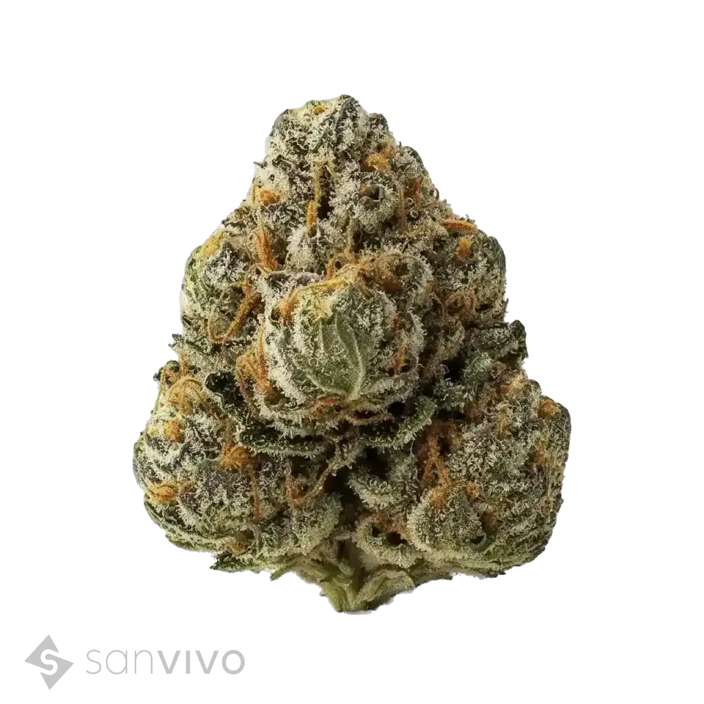 CM 30/1 Diamond 