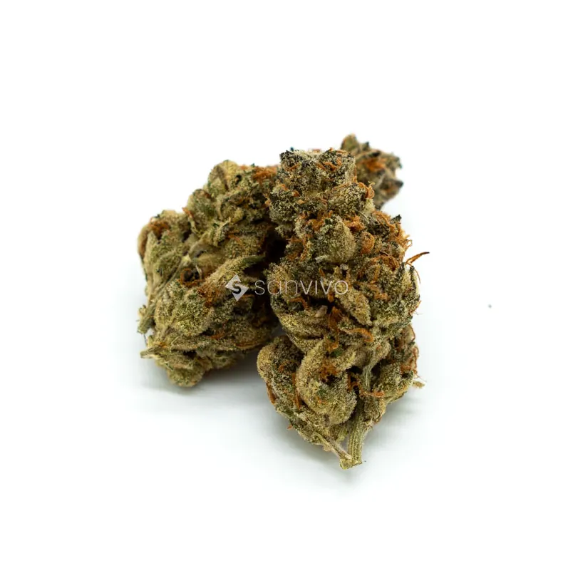 Nimbus EASY 30/1 French CookiesFrench Cookies 