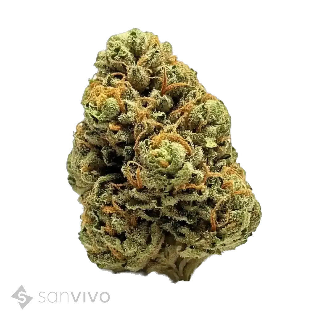 Canopy AKH 24 