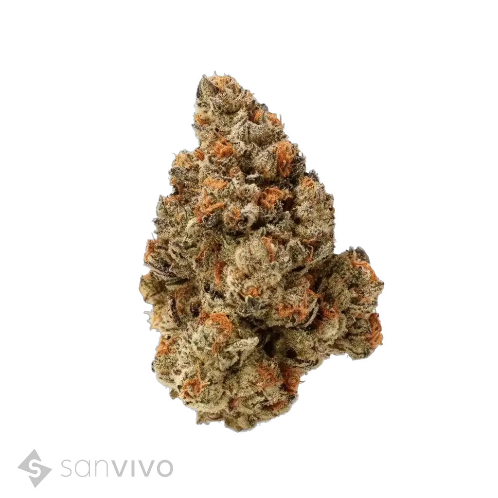 Mandarin Cookies strain