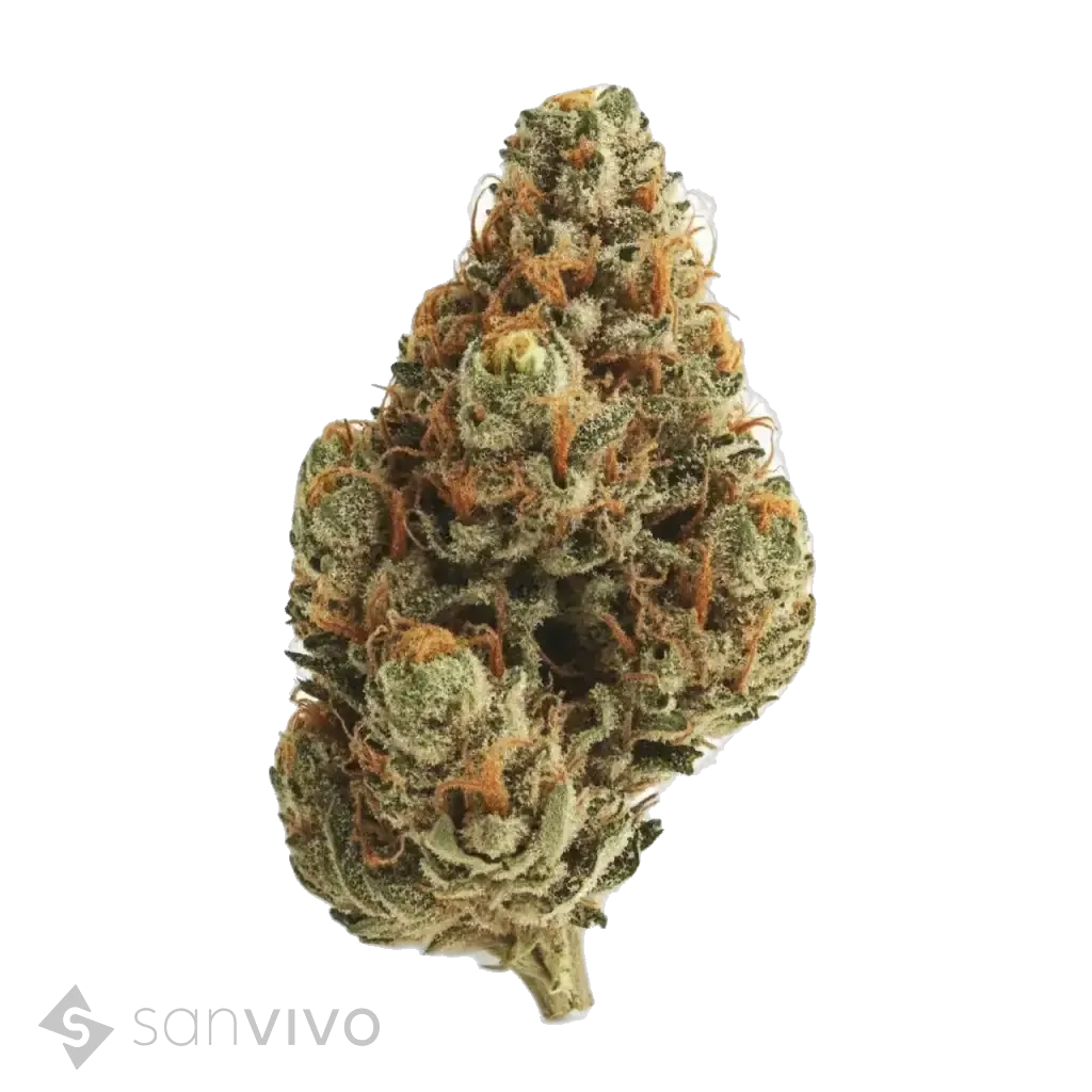 420 Sungrown 22/1 CA LLY