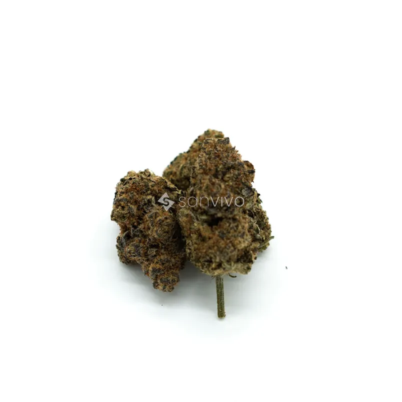CAN Hydro PPC 21/1 Purple Punch Cookies 