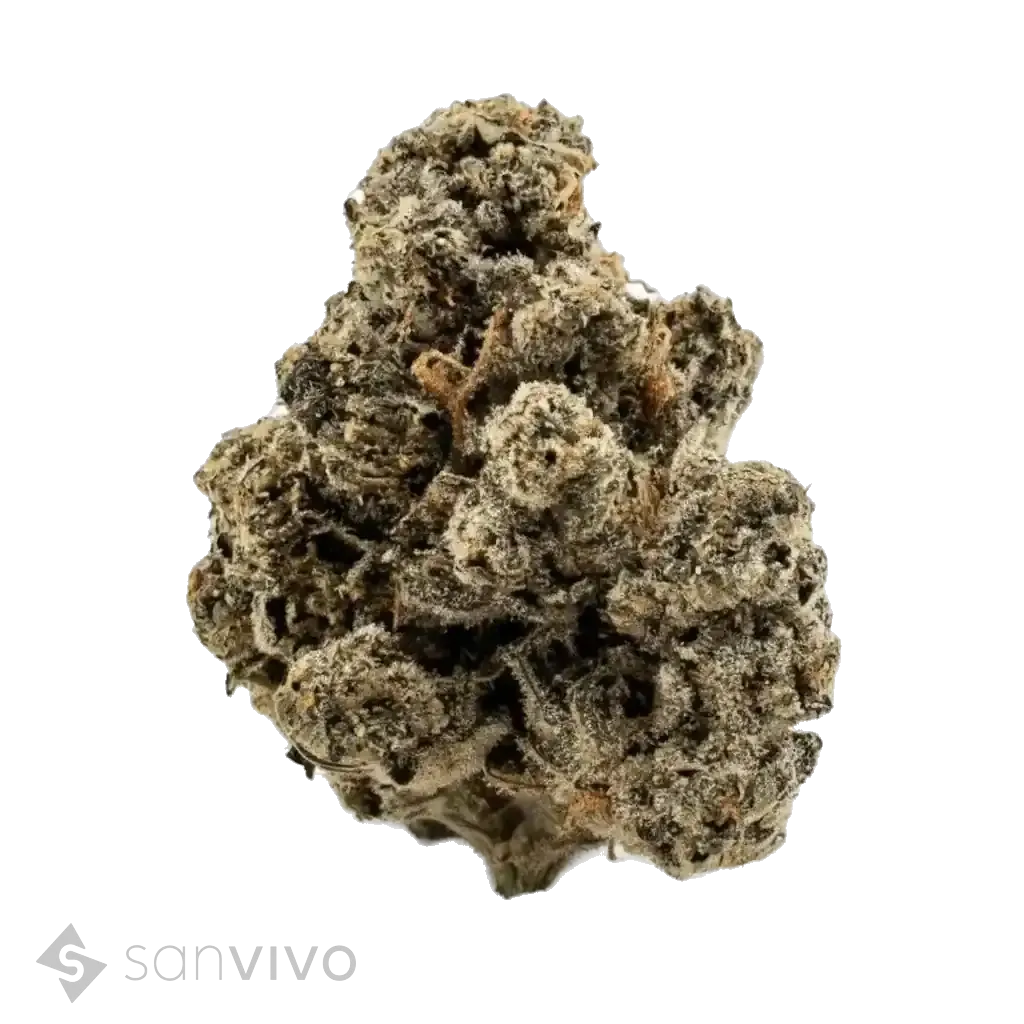 Scratch n Sniff strain