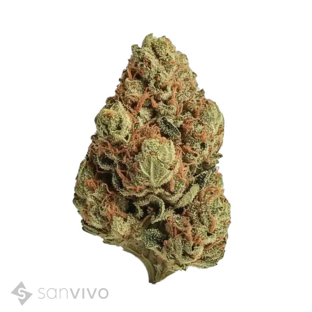 Chevy OG strain