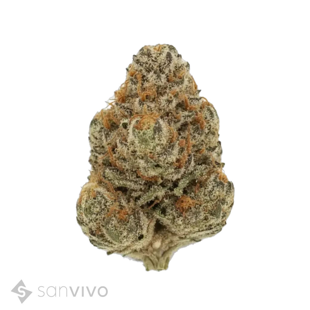 Dank Wafers strain