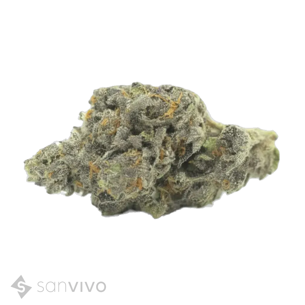 IMC RGP THC26