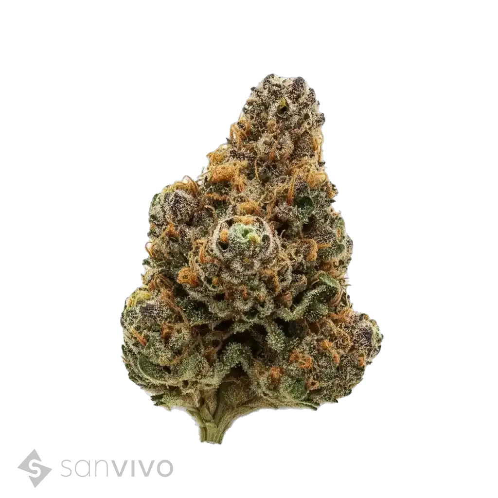 Grapple Pie strain