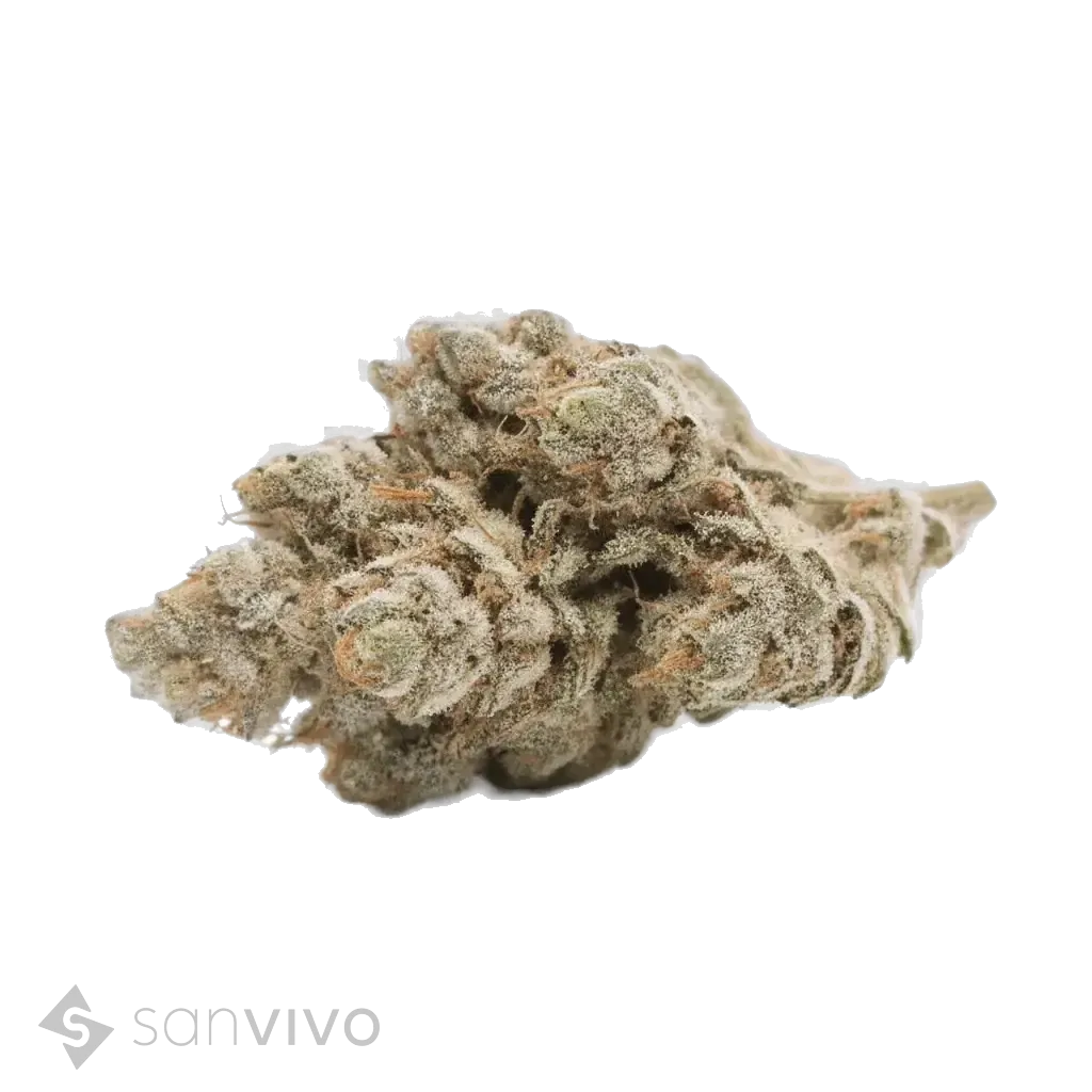 Face Off OG strain