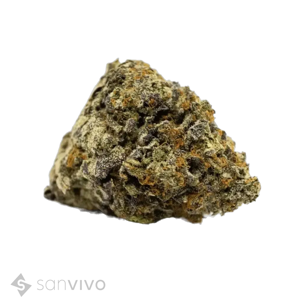 Purple Flame strain
