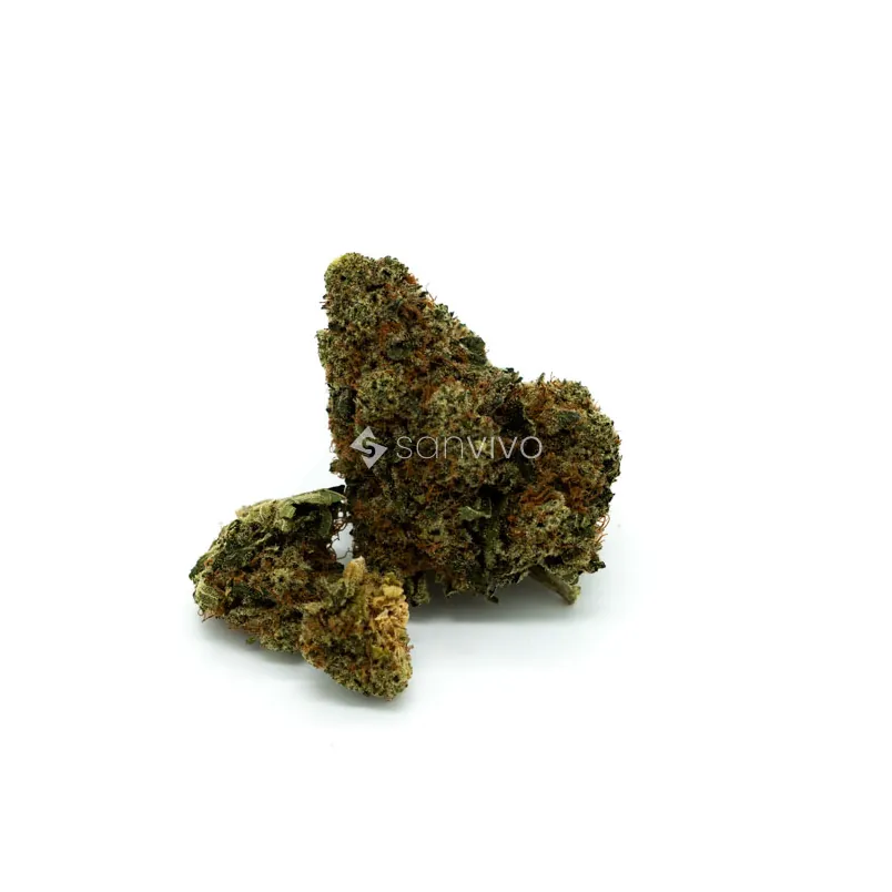 CM Indica forte DK - CKPCookies Kerosene Punch