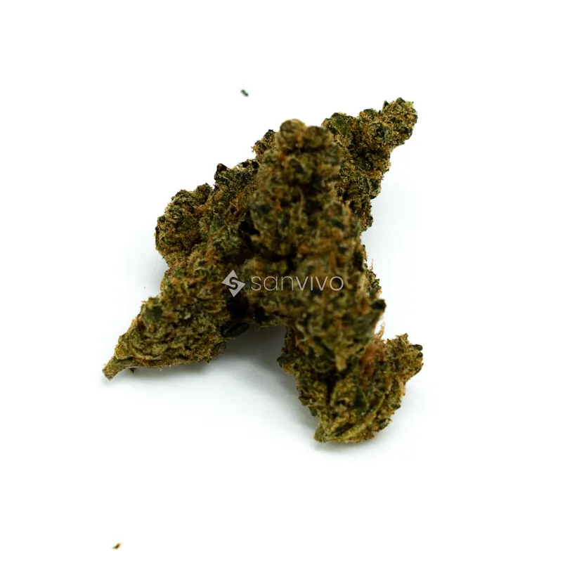 Ostara GC 25/1Gas Cake 