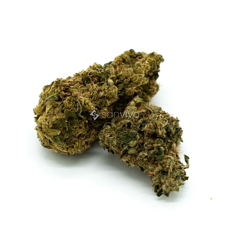 CM 28/1 Diamond Diamond Mints