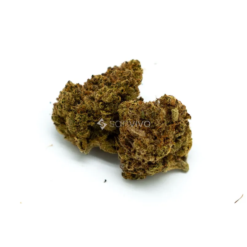 IMC Craft THC26 Super SativaBoost x Tangelo 