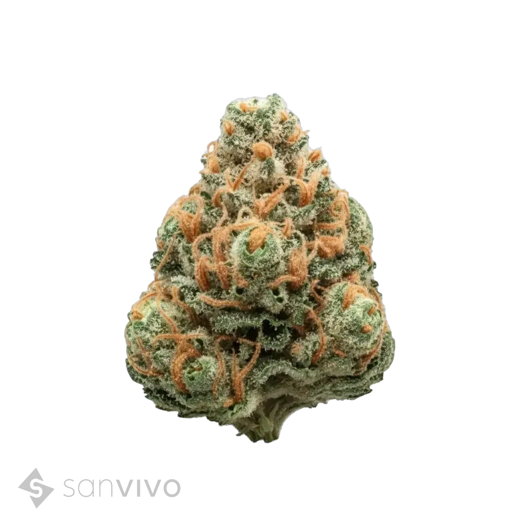 Strawberry Cloud strain