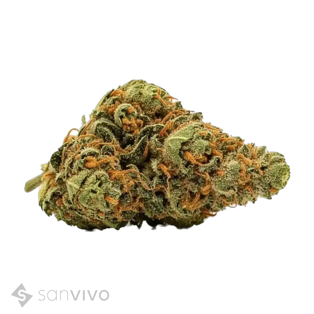 Lemon Krash strain
