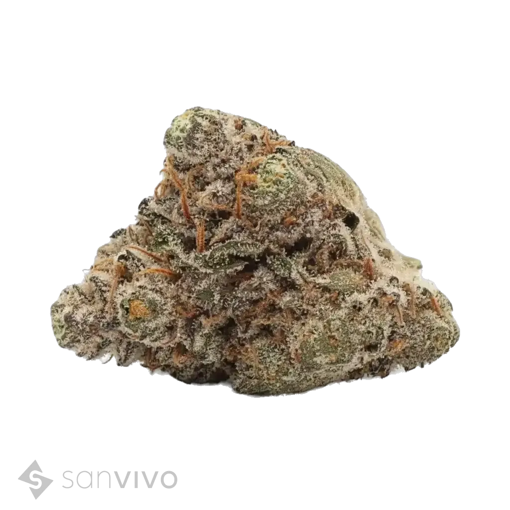 Remexian 24/1 TENBanjo