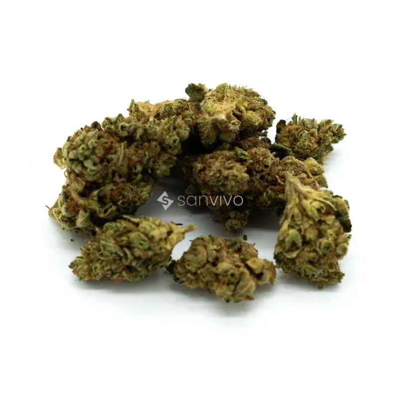 CM Indica Ultra BC Grape Pie 