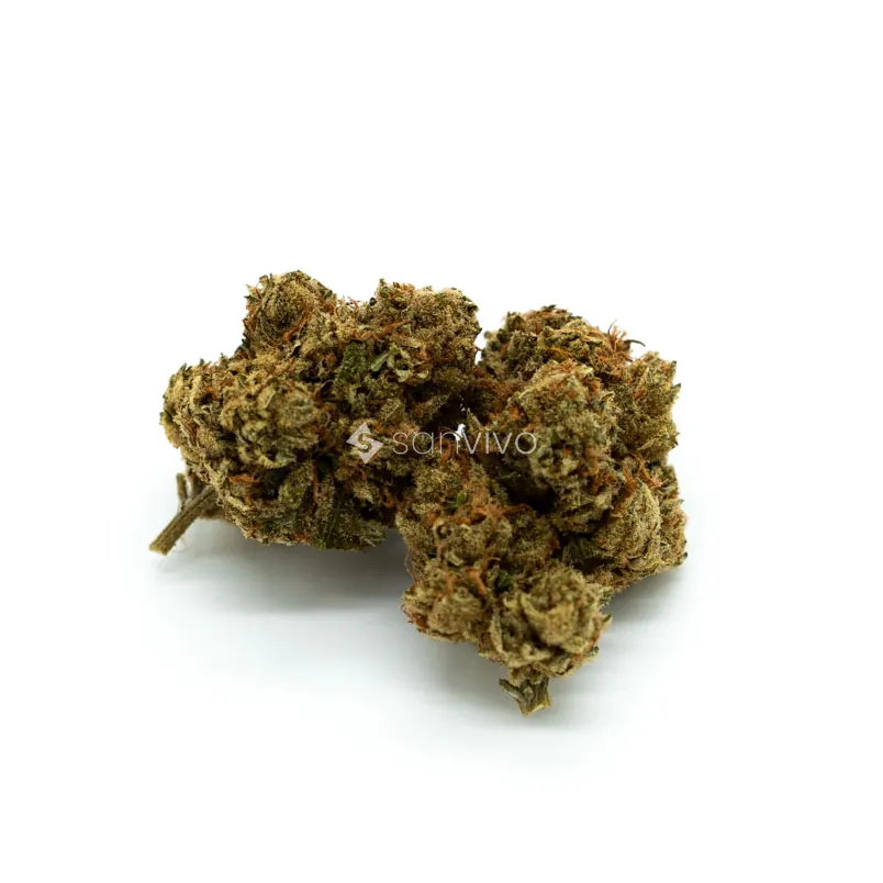 Mediprocan African Ruby 26/1Sour OG Cheese