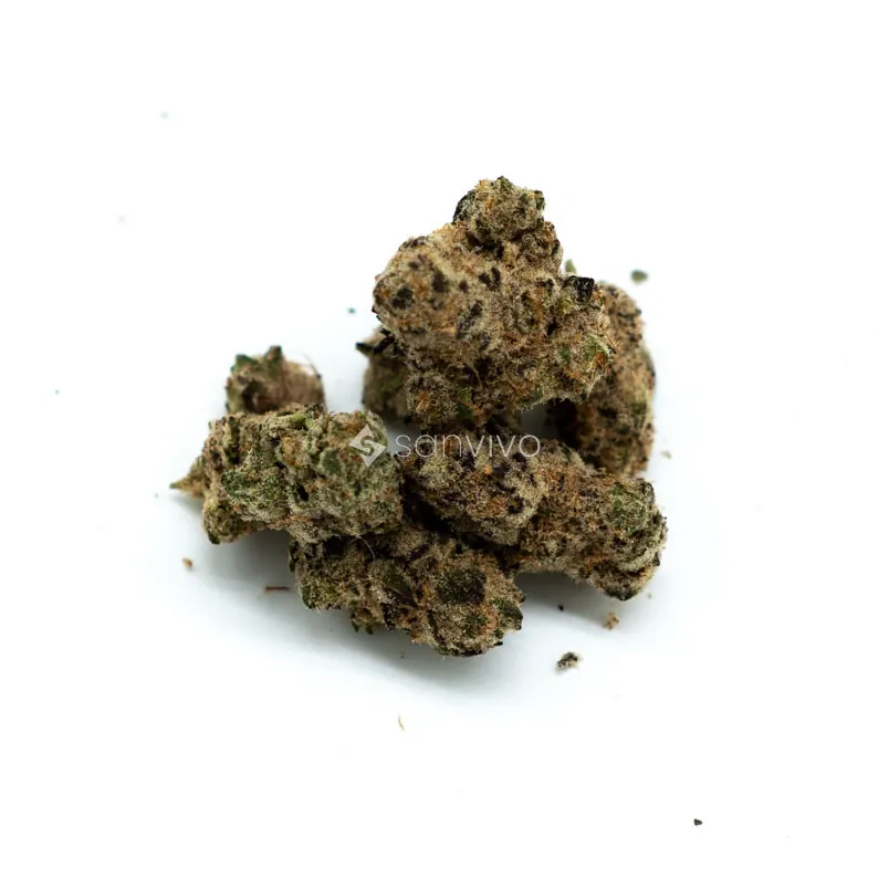 Barongo 26/1 BMKandi Klouds Kush