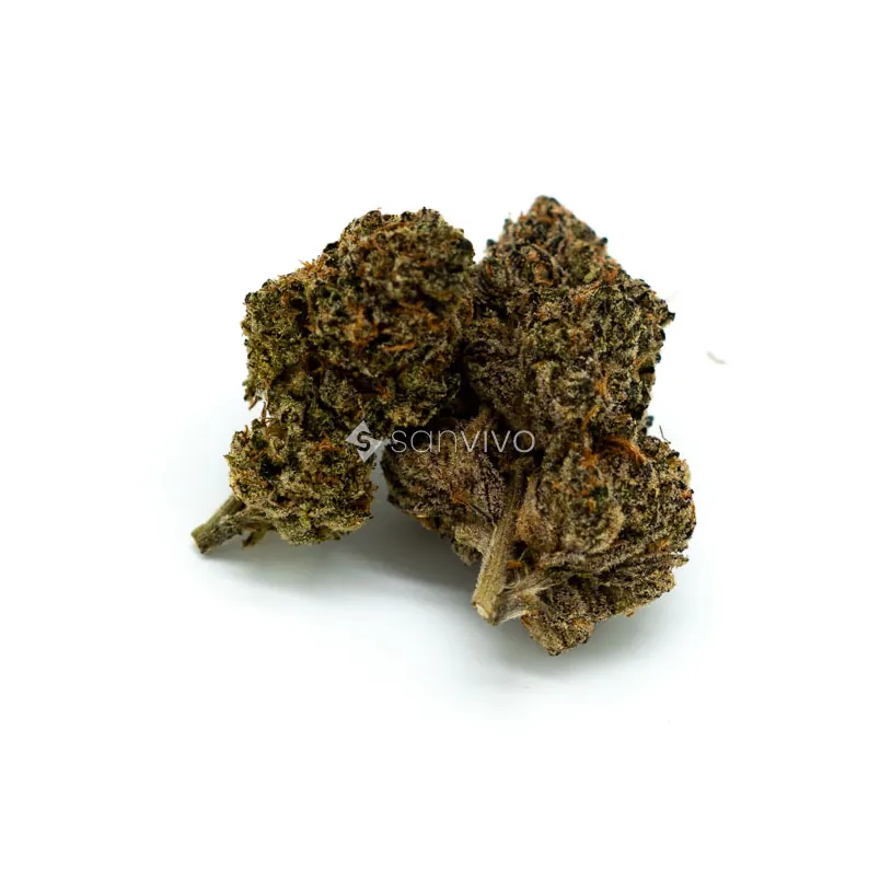aleph purple 26/1Straight Candy Gas