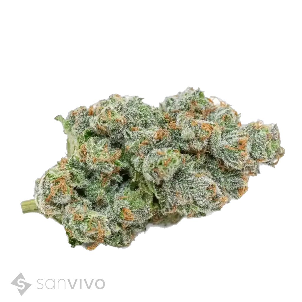 Doce da Casa strain