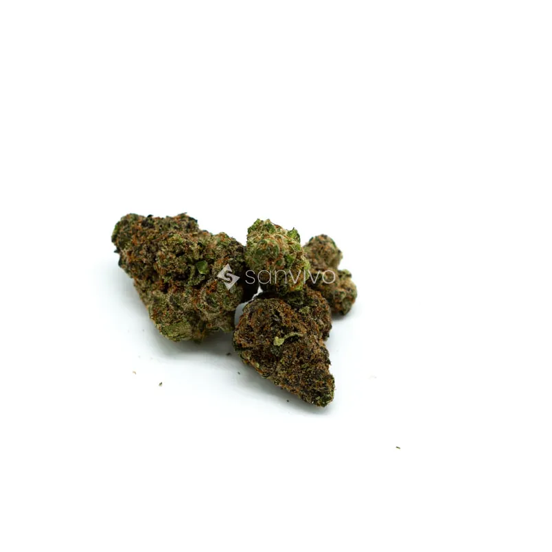 CM Sativa Classic Lemon Slushie