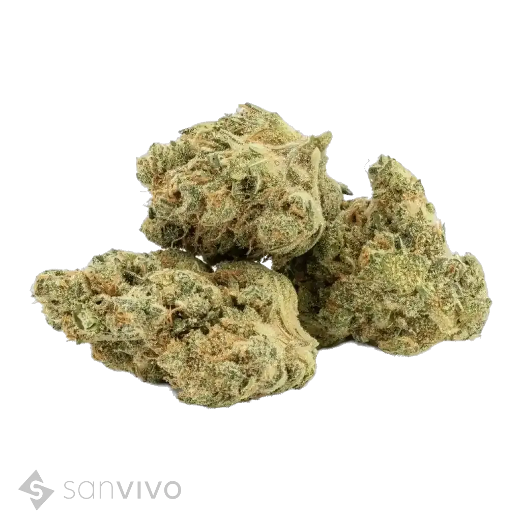 Ultra Limelight strain