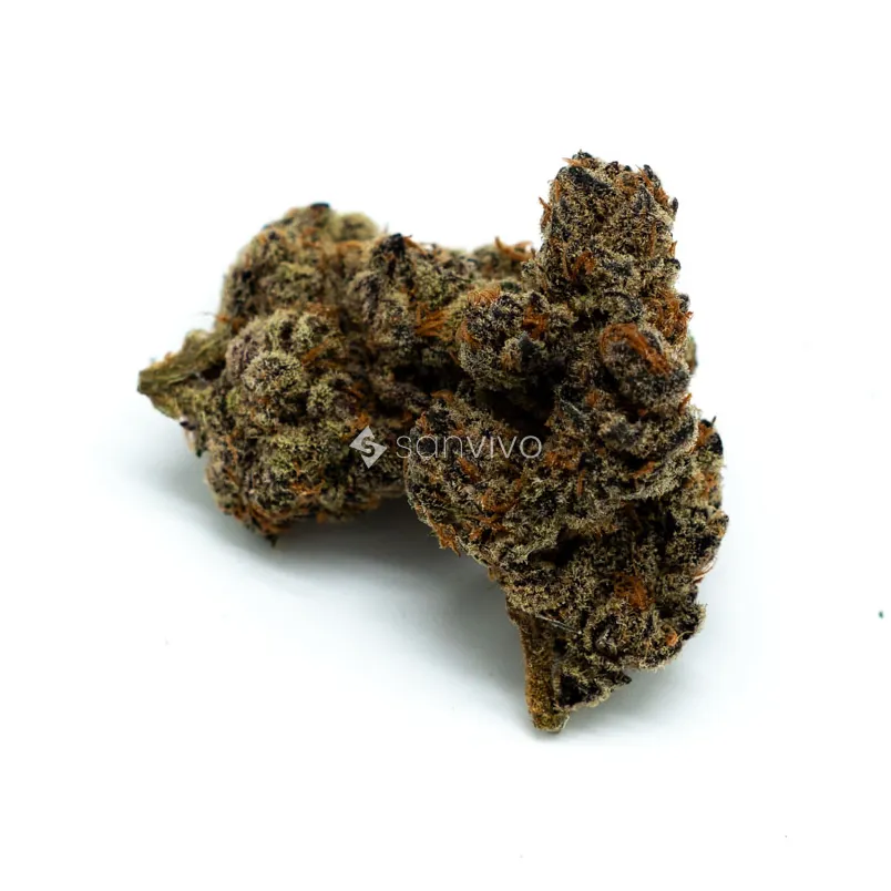 22/1 Amici BHBlueberry Headband