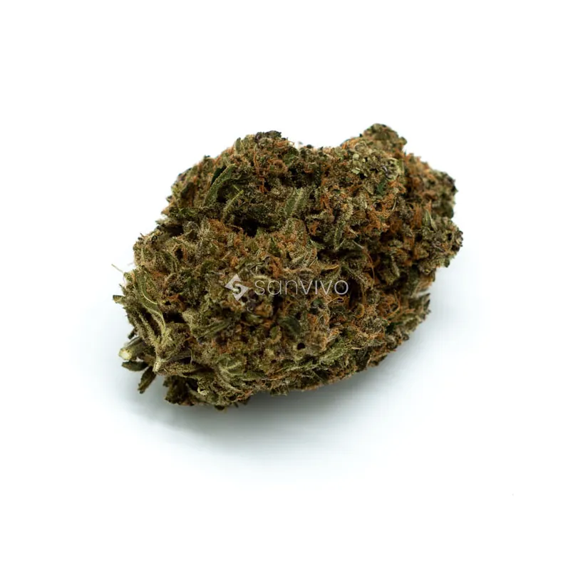 CM Indica forte DKGelat Skyfloater