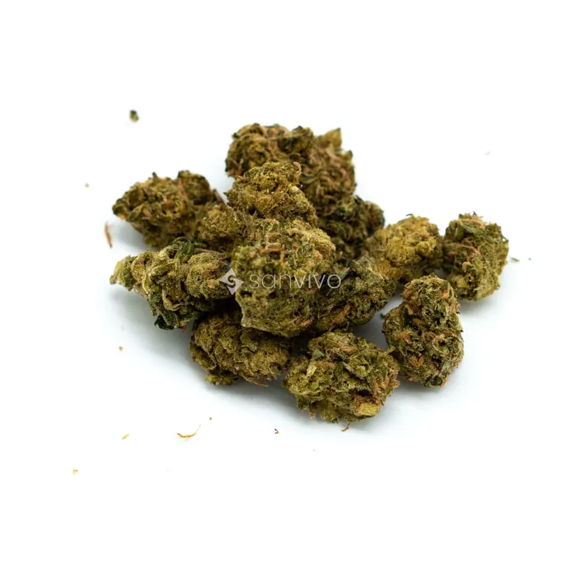 Social Choice 24/1 SEN GTHGhost Train Haze