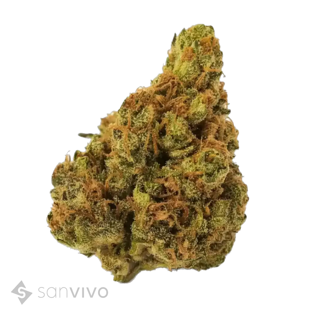 Premium Mandarin Kush strain