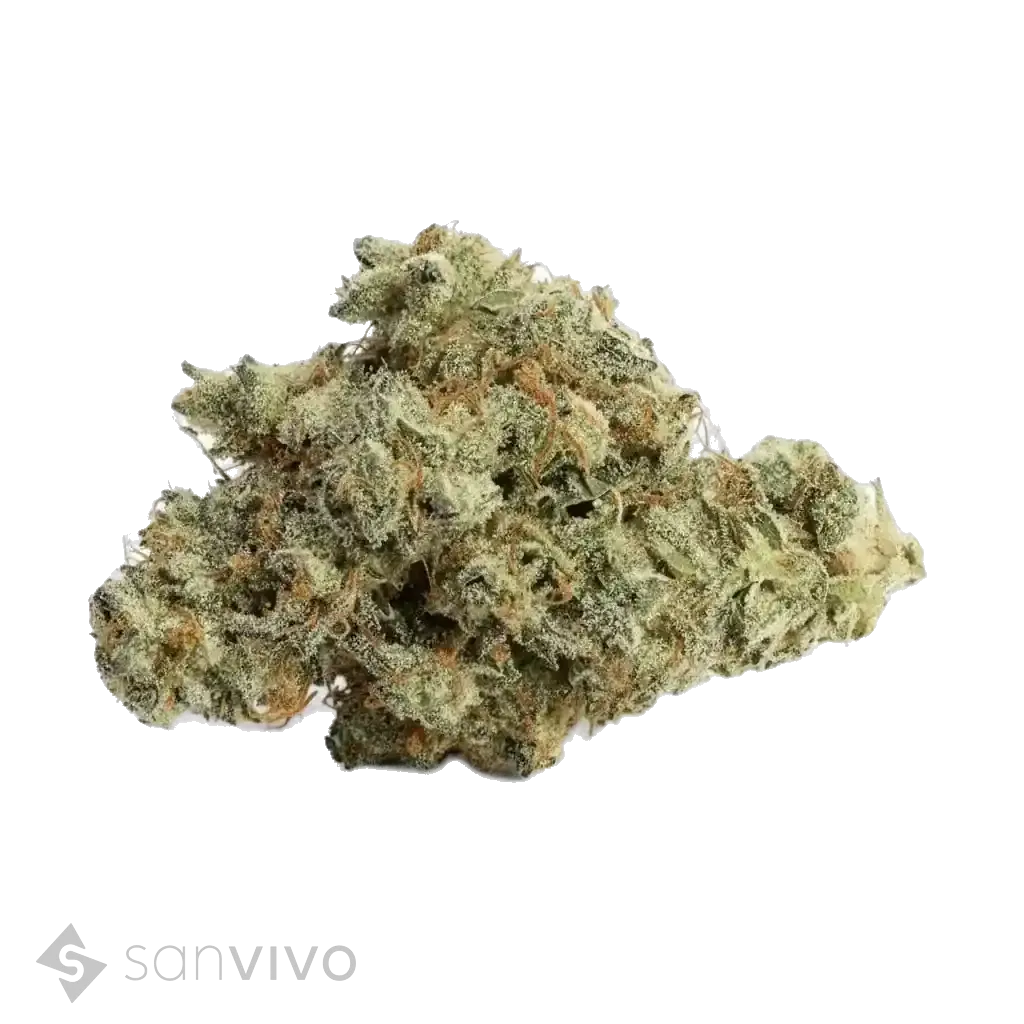 Sugar Cookies strain