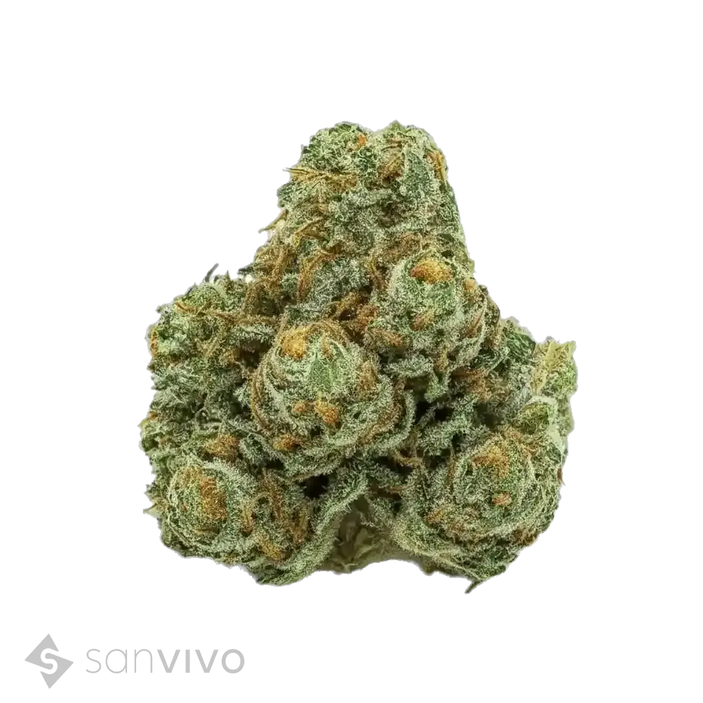 Sour Cherry Diesel strain