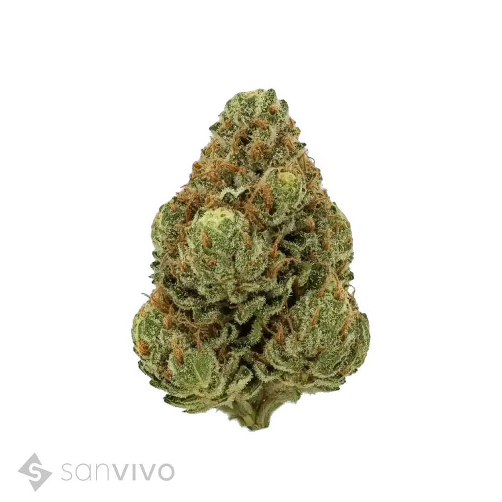 Medicus 27/1 EZA DSDDo-Si-Dos