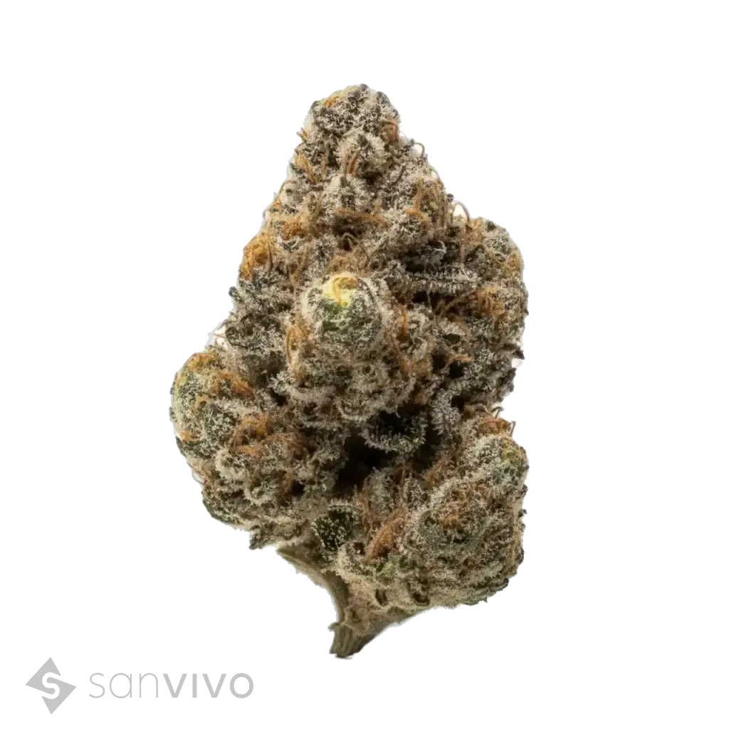 Jelly Rancher strain