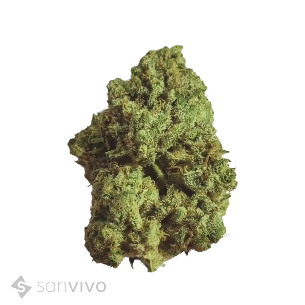 Golden Gauth strain