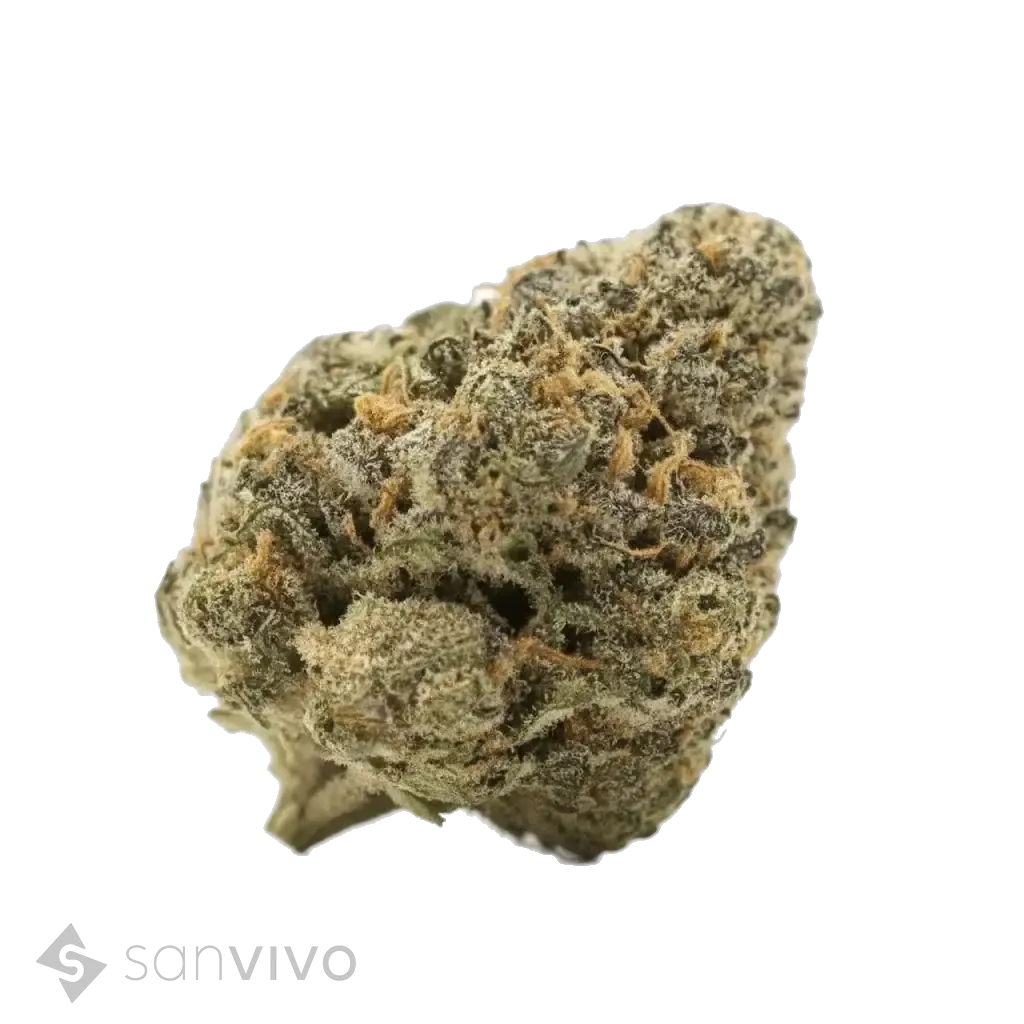 Permanent Fruz strain