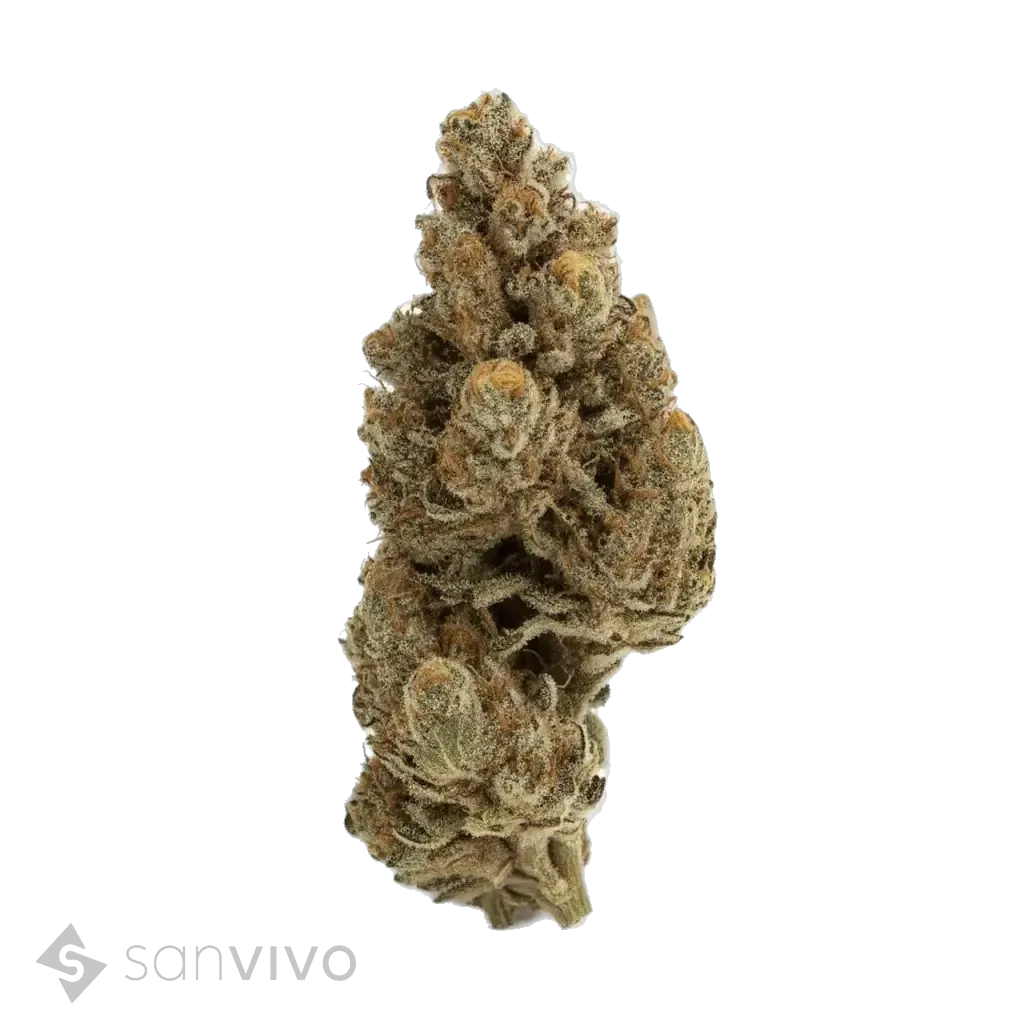 Top 5 strain