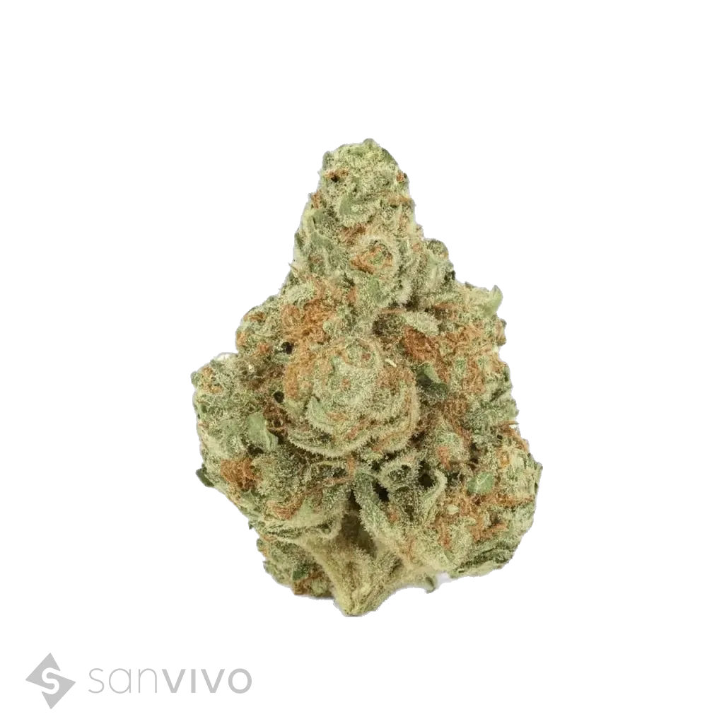 CM Sativa forte ESBanjo