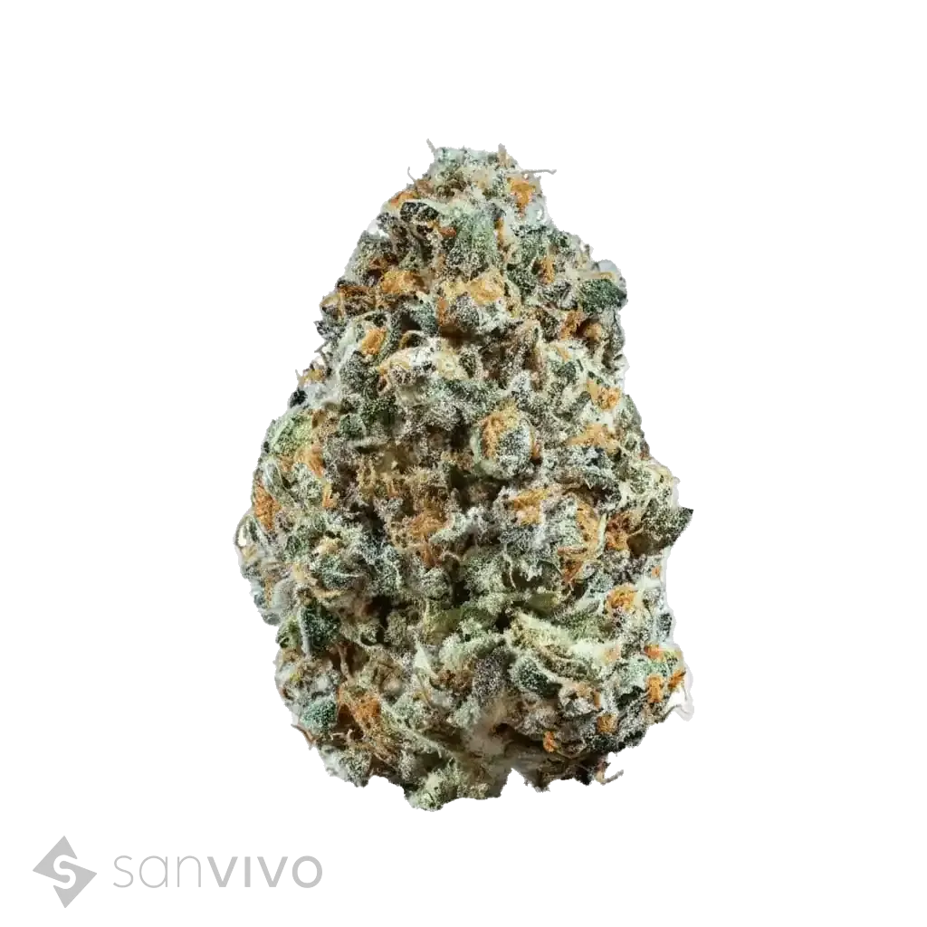Rainbow Jungle strain
