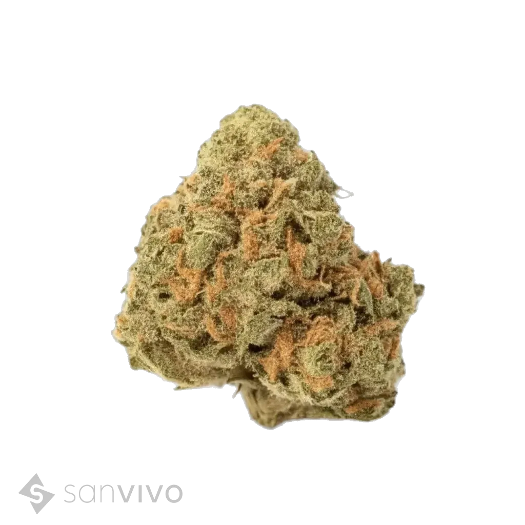 Nova strain